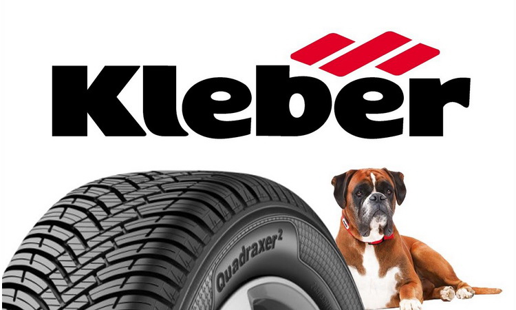 Kleber